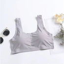 Kit Com 3 Sutiã 5D Sem Costura Com Renda e Bojo Removível Cores Variadas Sortidas, FRETE GRATIS SO HOJE