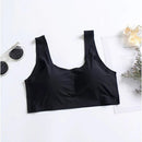 Kit Com 3 Sutiã 5D Sem Costura Com Renda e Bojo Removível Cores Variadas Sortidas, FRETE GRATIS SO HOJE